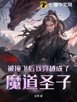 被撞飞后我穿越成了魔道圣子