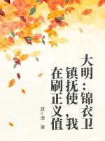 大明：锦衣卫镇抚使，我在刷正义值
