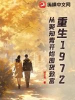 重生1972：从娶知青开始囤货致富