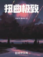 扭曲极致
