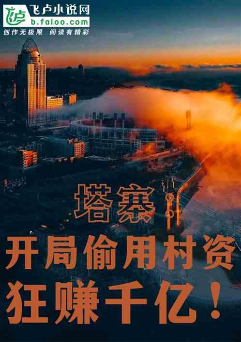 塔寨：开局偷用村资产，狂赚千亿