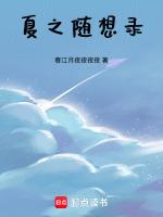 夏之随想录