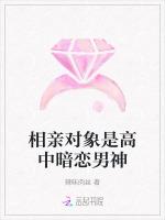相亲对象是高中暗恋男神