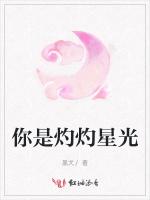你是灼灼星光