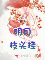 明月枝头挂