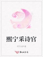熙宁采诗官
