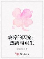 破碎的囚笼：逃离与重生