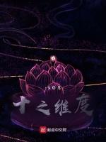 十之维度