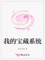 我的宝藏系统